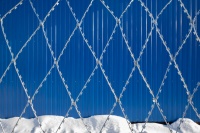 ПКЛЗ «Акация» 2х15м яч. 190х420