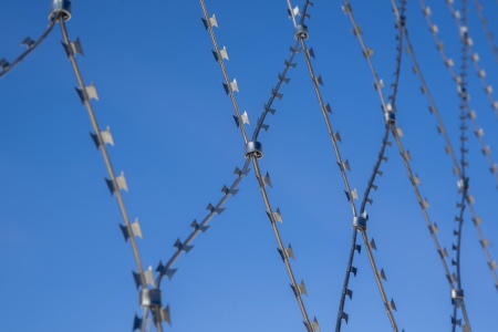 Колючая сетка Акация 2х15м яч. 190х420