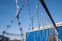 ПКЛЗ Акация из АКЛ 2х15м яч. 150х300