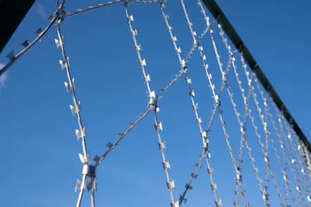 ПКЛЗ Акация из АКЛ 2х15м яч. 190х420