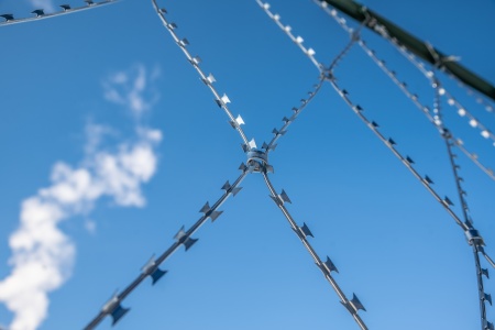 Плоское колючее заграждение ПКЛЗ «Акация» 2х15м яч. 250х400