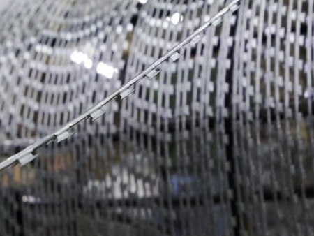 Лена колючая АКЛ