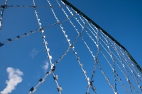 ПКЛЗ «Акация» 2х15м яч. 170х390