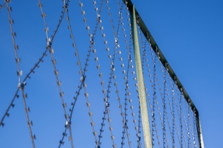 Плоское колючее ленточное заграждение Акация 2х15м яч. 150х300