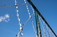 Плоское колючее заграждение 2х15м яч. 150х300