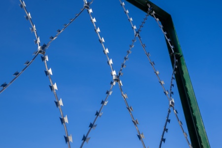 Колючая сетка Акация 2х15м яч. 150х300