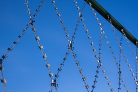 Ограждение ПКЛЗ Акация 2х15м яч. 150х300