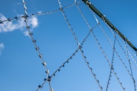 ПКЛЗ «Акация» 2х15м яч. 250х400